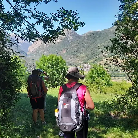 La Foret Du Domaine Des Aguiles Nistos