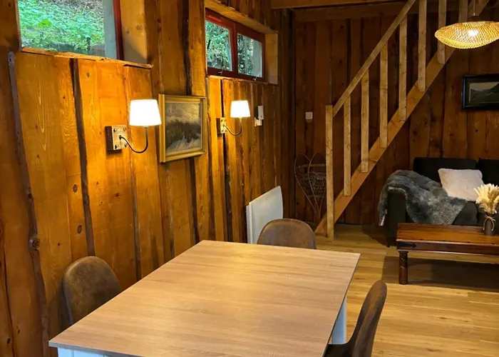 La Foret Du Domaine Des Aguiles